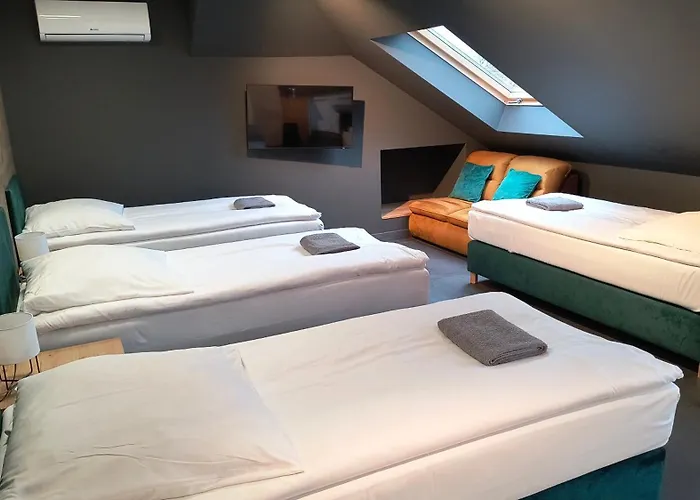 Dzika Kaczka Хостел *