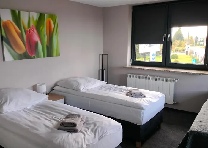 Dzika Kaczka Хостел